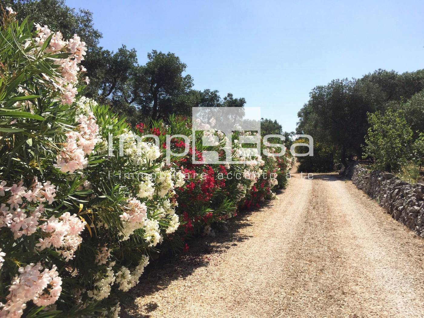 Terreno Agricolo in vendita a Carovigno