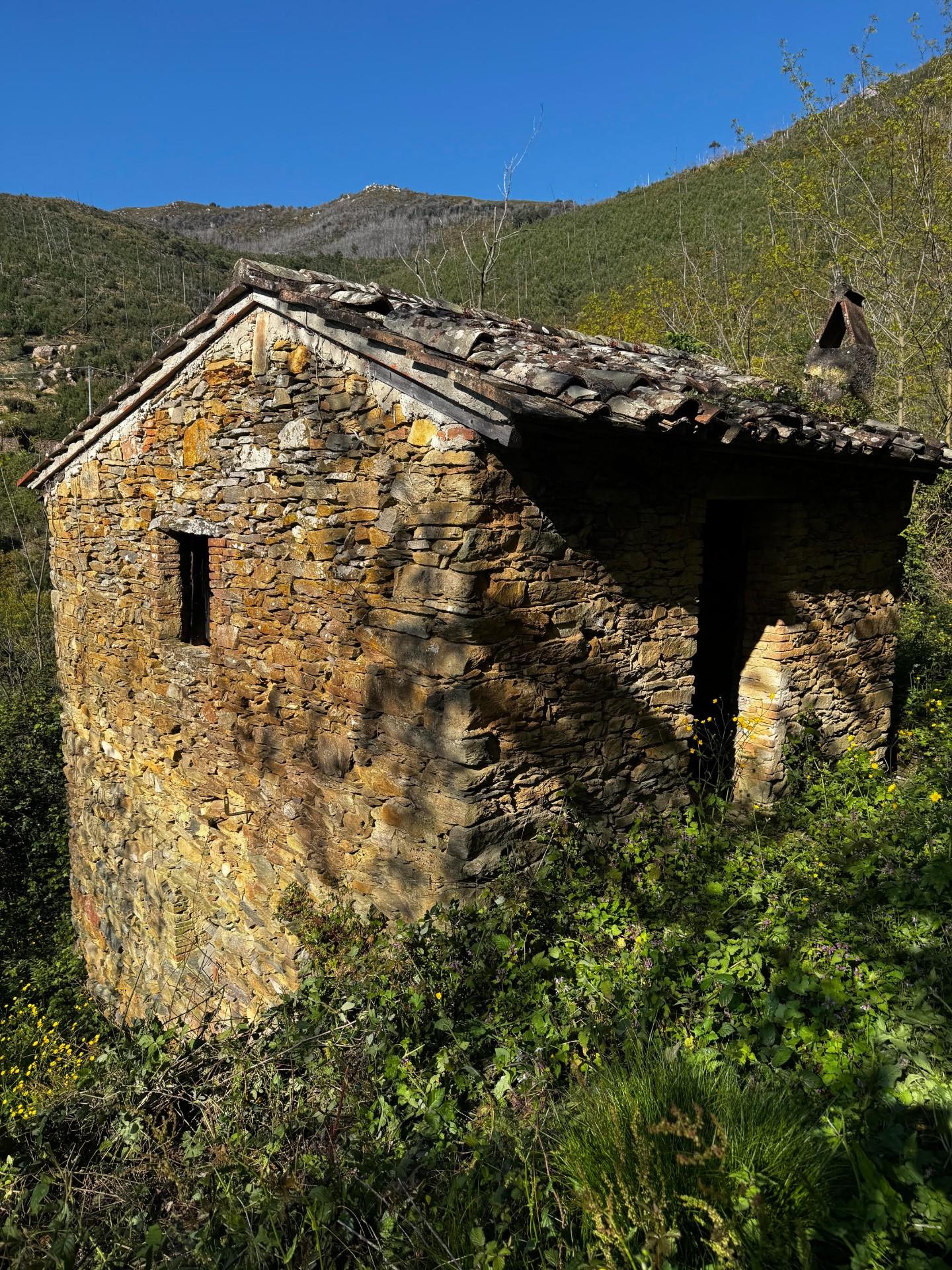 Rustico da ristrutturare a Calci