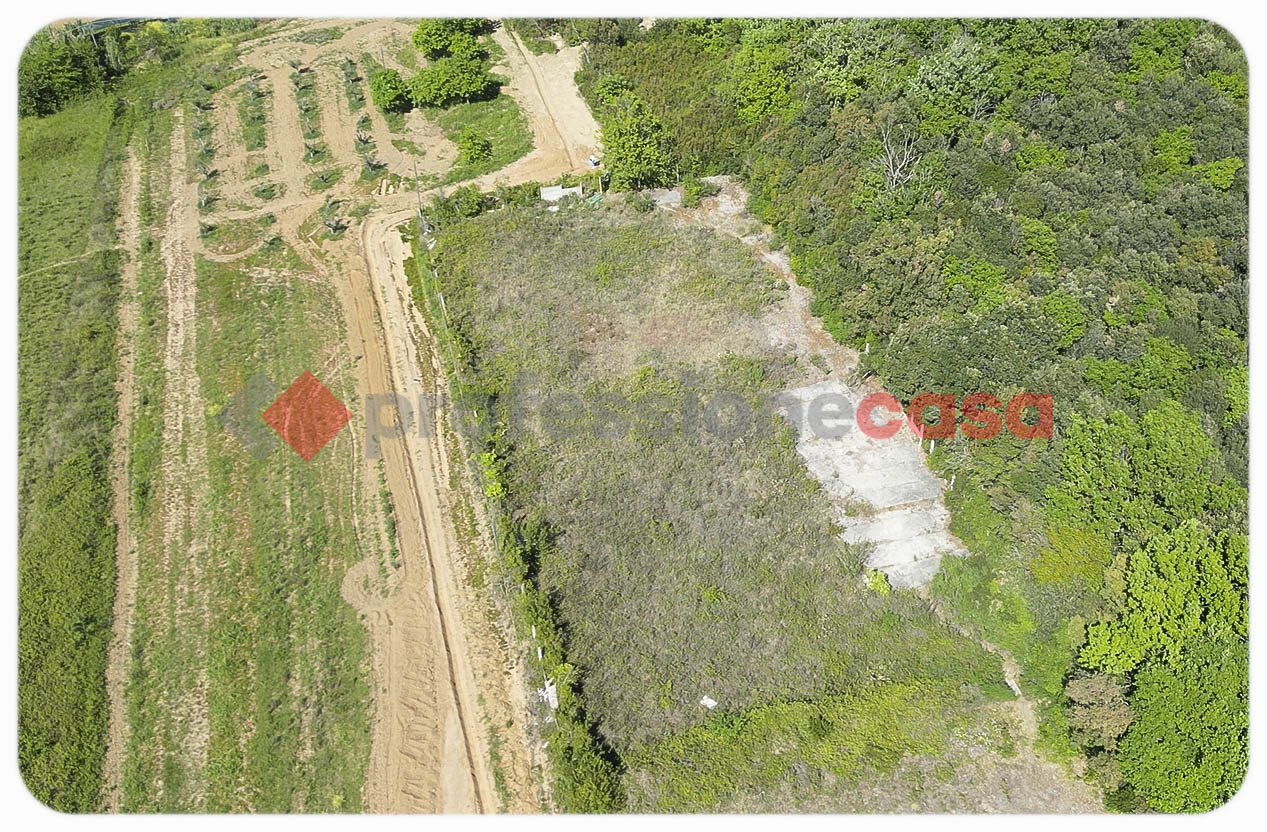 Terreno Agricolo in vendita a Livorno