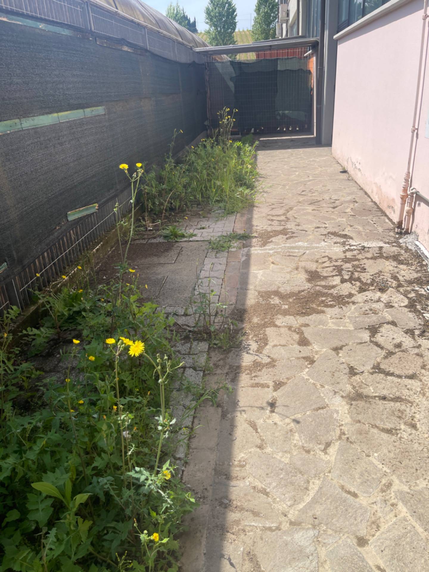 Magazzino in affitto a Cerreto Guidi, Stabbia