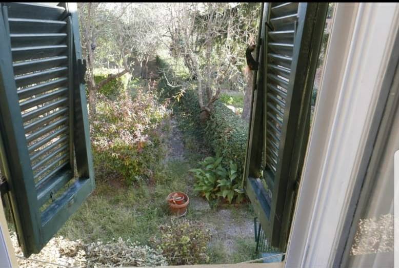 Appartamento in affitto a Palaia