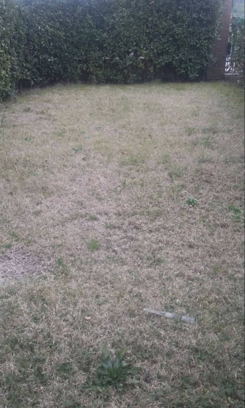 Appartamento in affitto a Fucecchio