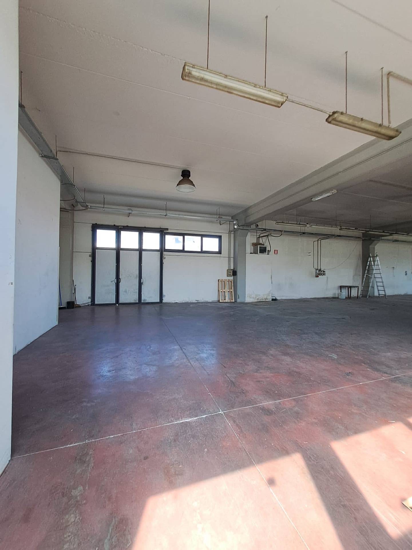 Capannone in affitto a Pieve a Nievole