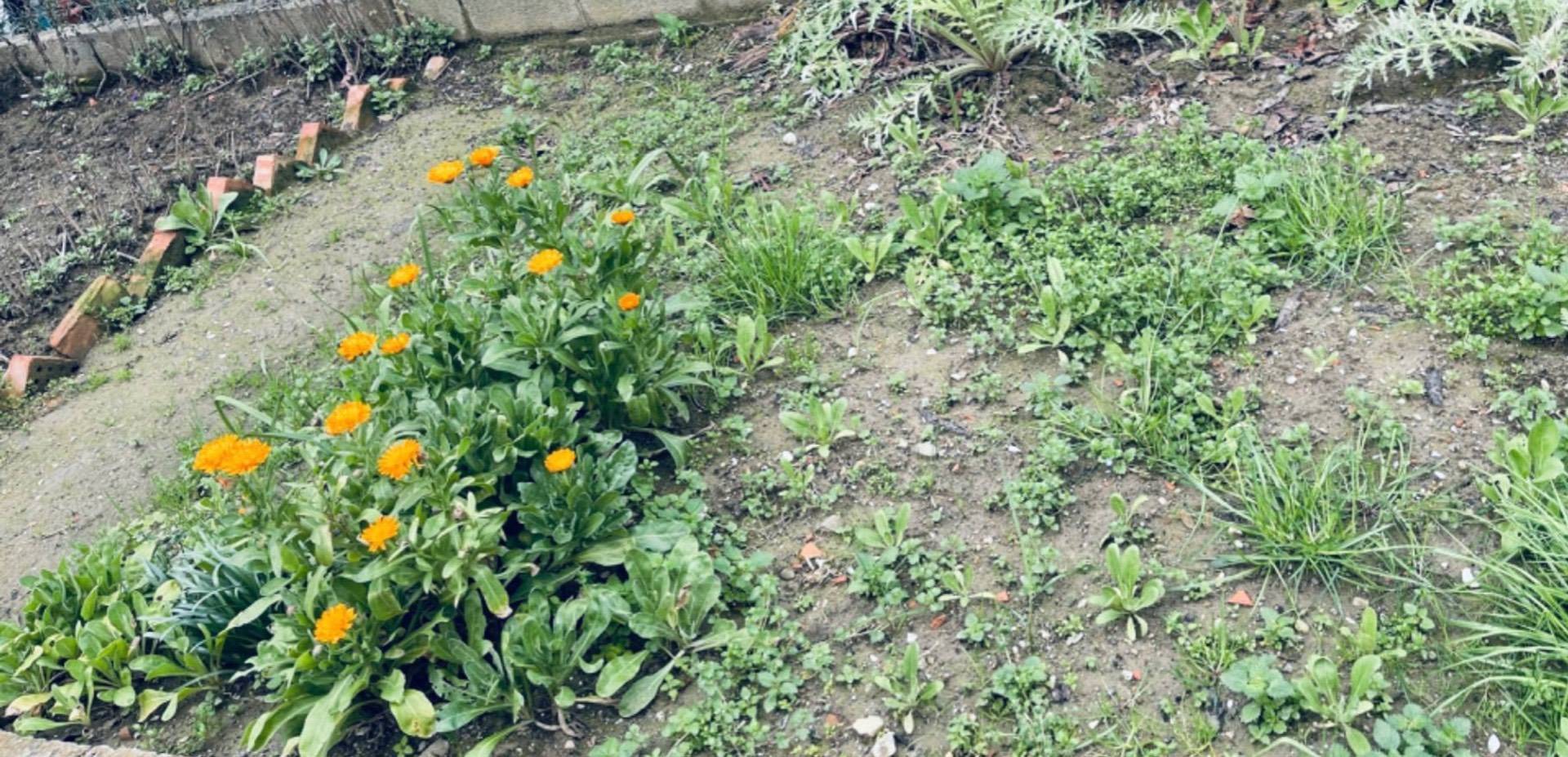 Appartamento in affitto a San Miniato, San Miniato Basso