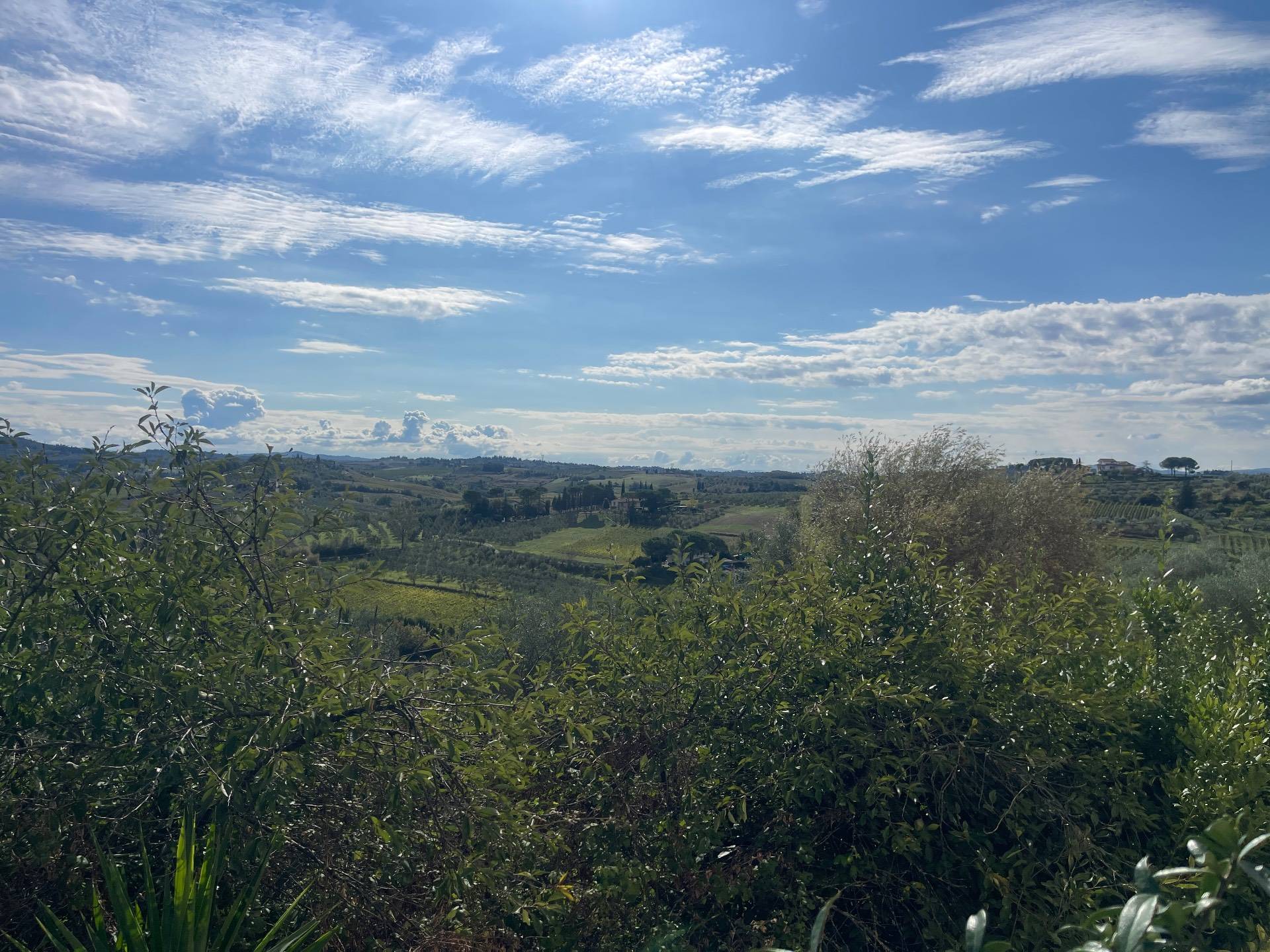 Appartamento in affitto a Empoli