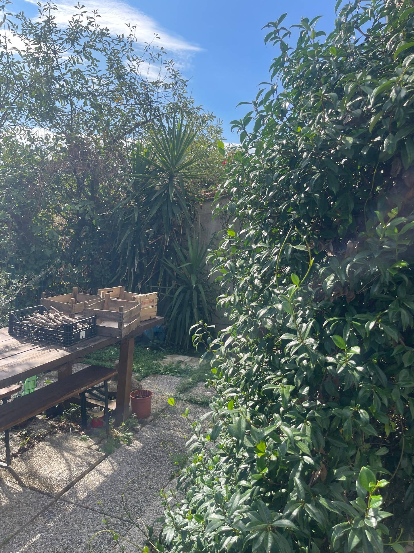 Appartamento in affitto a Empoli