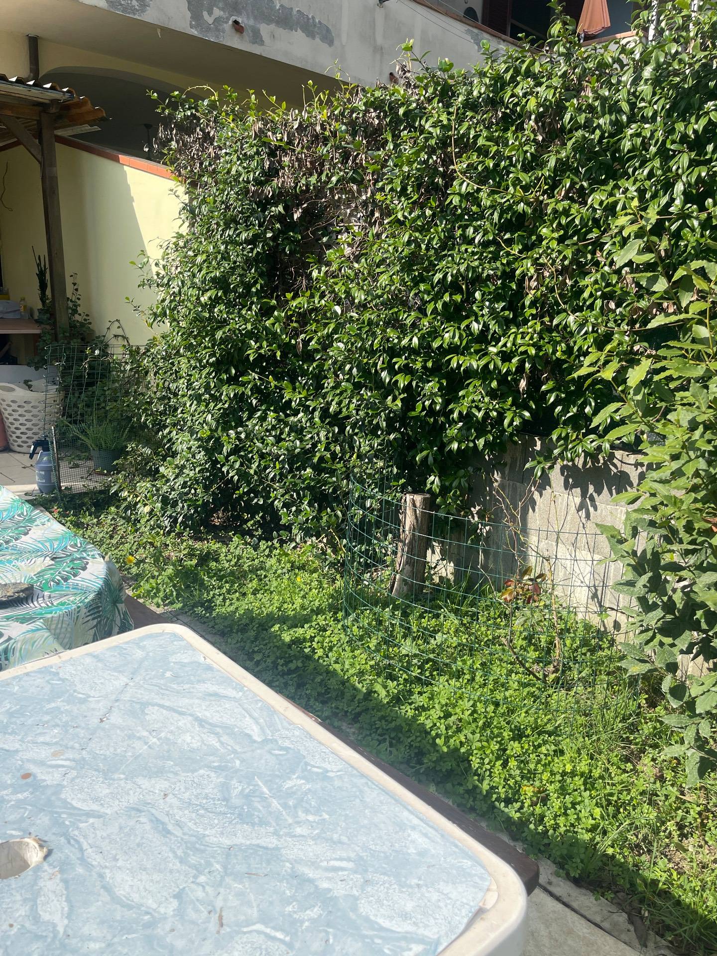 Appartamento in affitto a Empoli