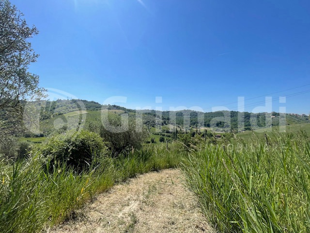 Rustico in vendita a Mentana