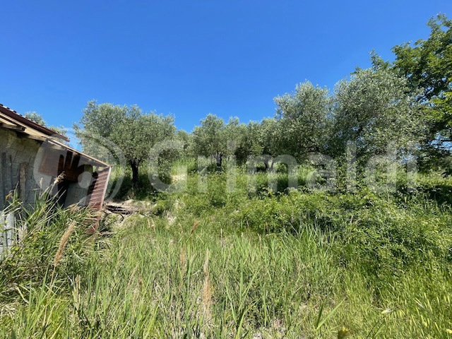 Rustico in vendita a Mentana