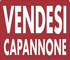 Capannone classe A4 a Mira