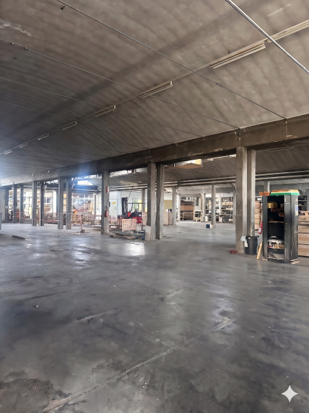 Capannone in affitto a Silea