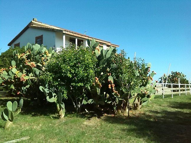 Villa con giardino a Montalto di Castro - 01, Foto