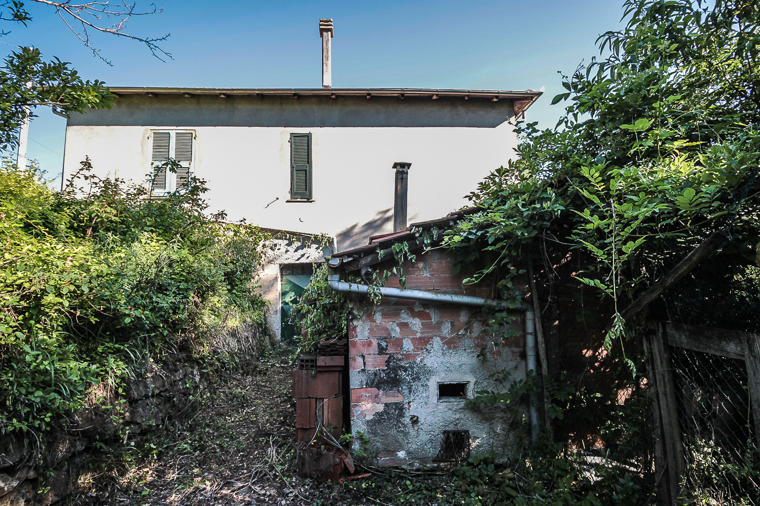 immagine annuncio 3 di 6