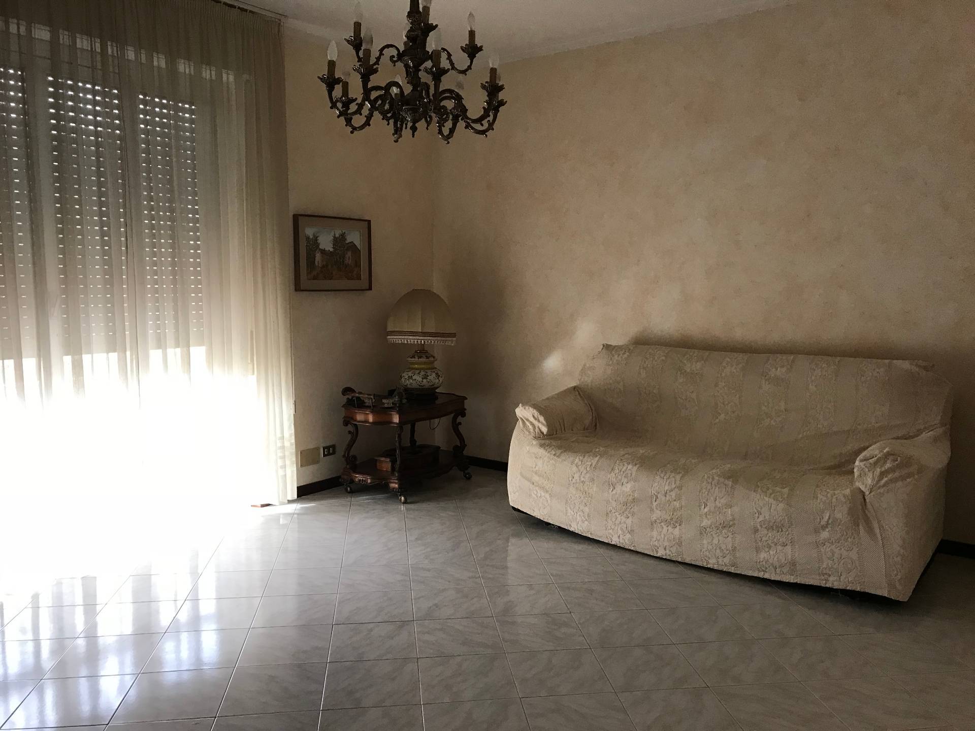 immagine annuncio 2 di 6