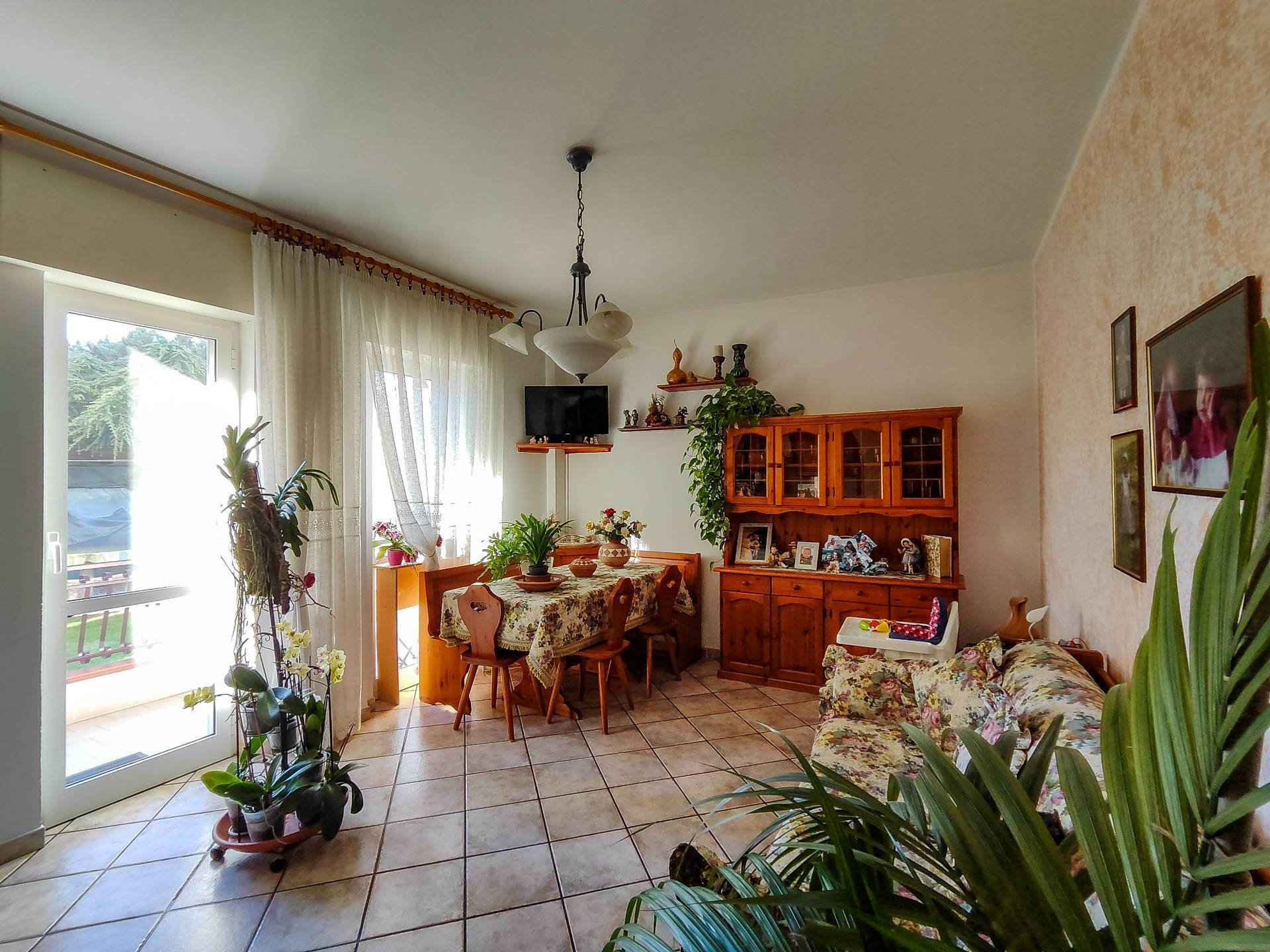 immagine annuncio 5 di 6