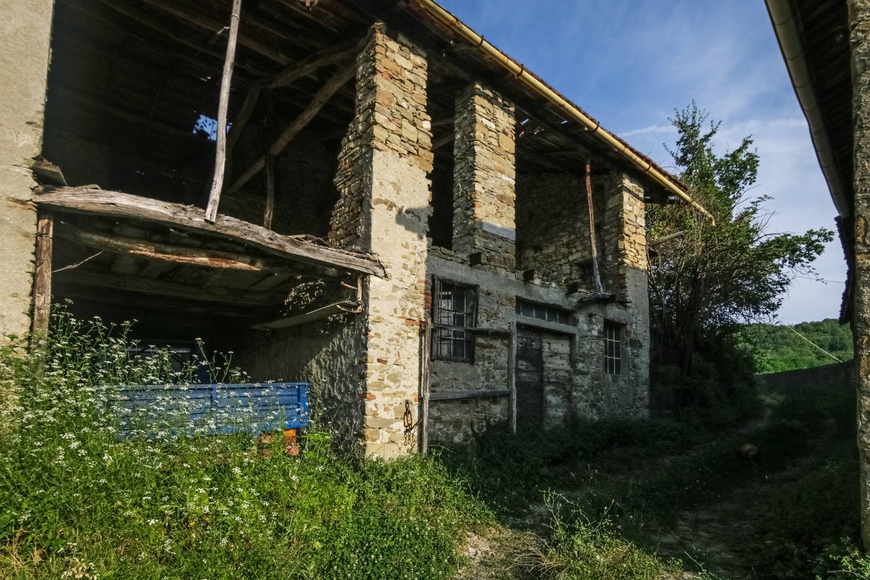 immagine annuncio 4 di 6
