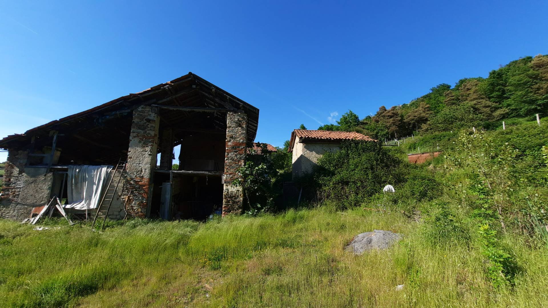 immagine annuncio 9 di 10