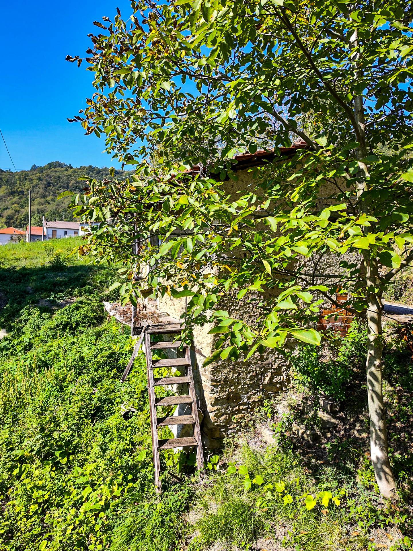 Rustico in vendita a Saliceto