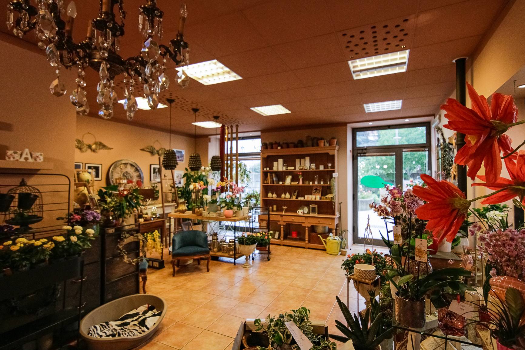 Attivit commerciale in vendita a Cairo Montenotte