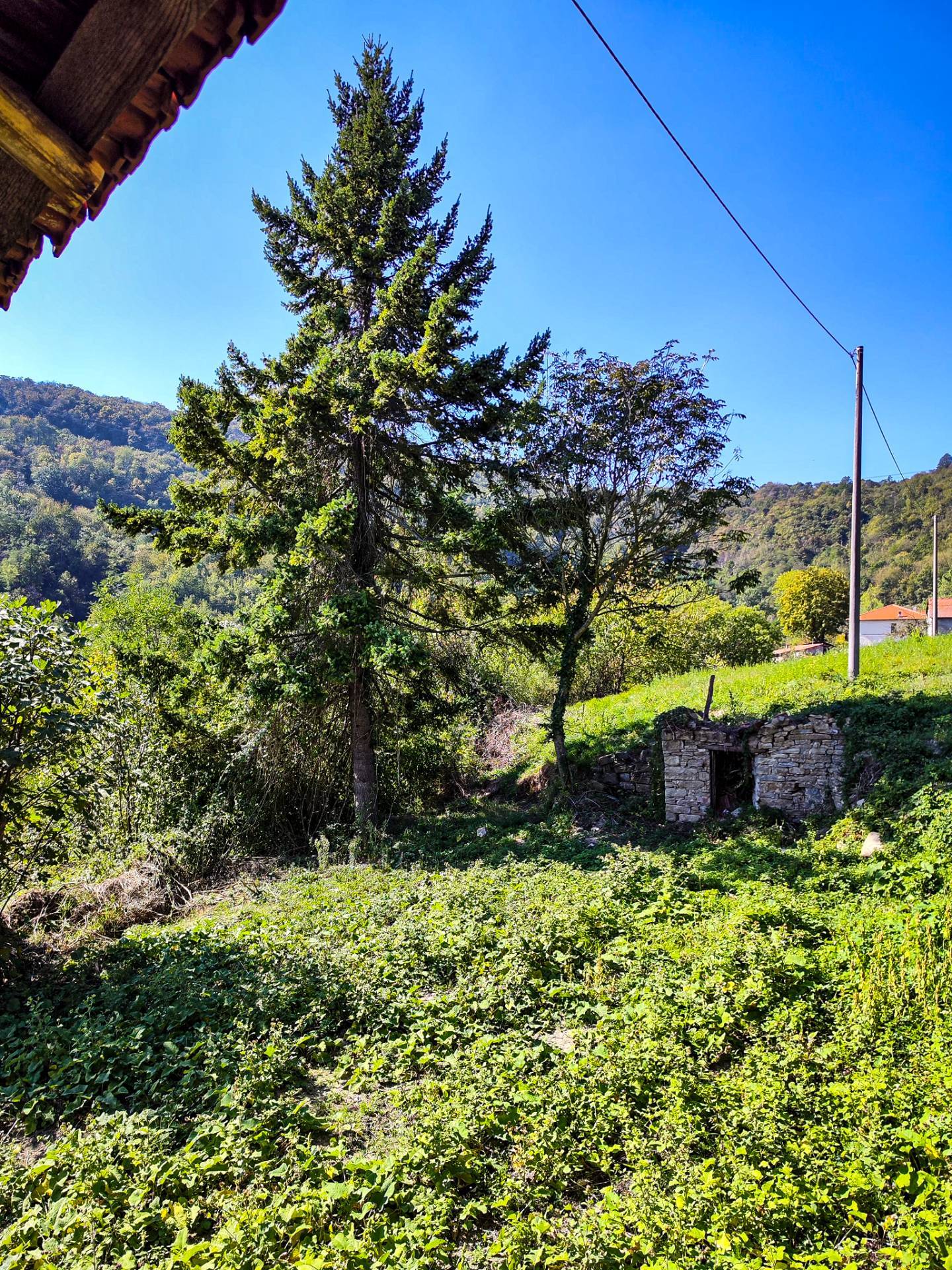 Rustico in vendita a Saliceto