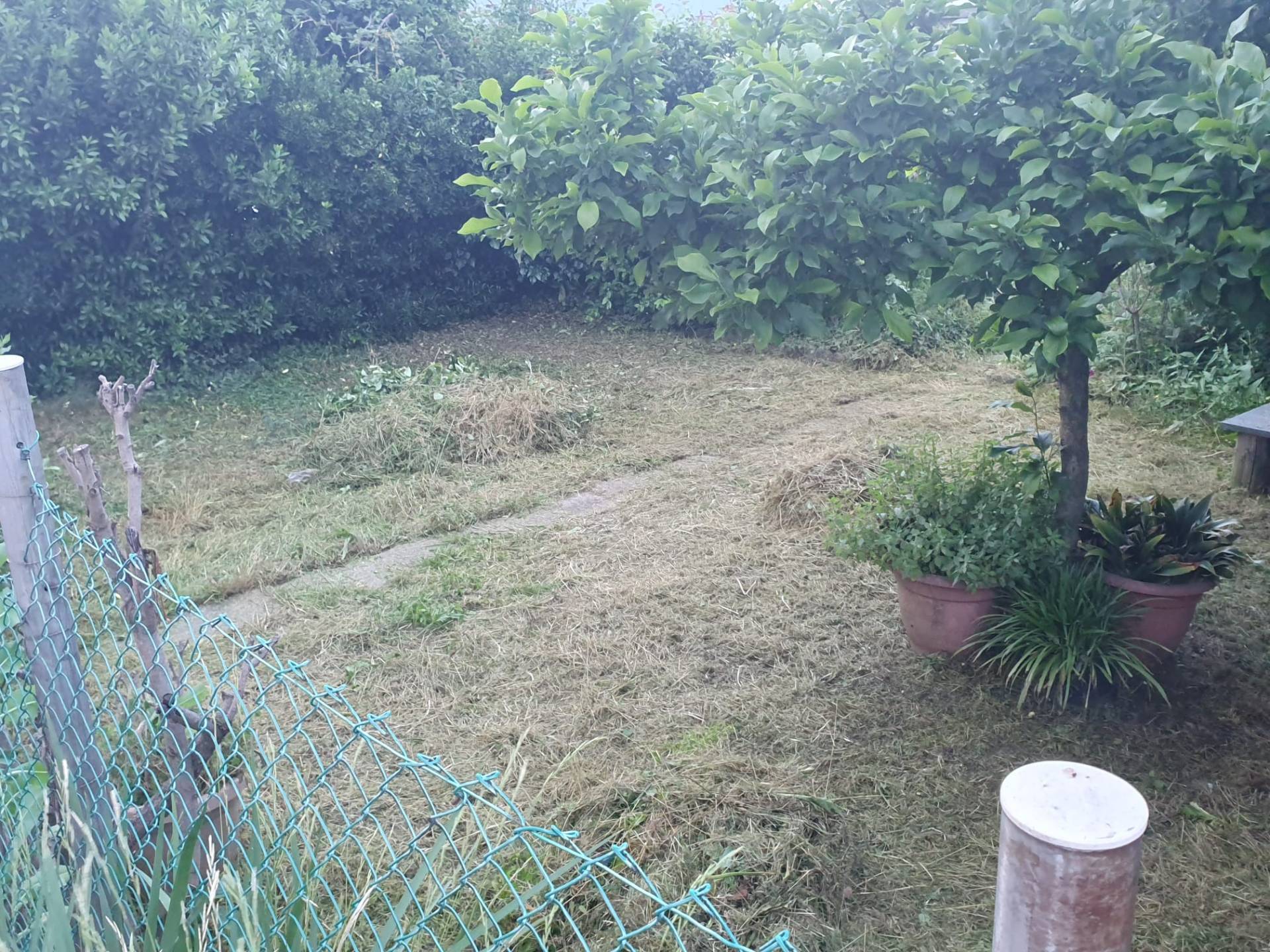 appartamenti in piccolo complesso in vendita a Cairo Montenotte