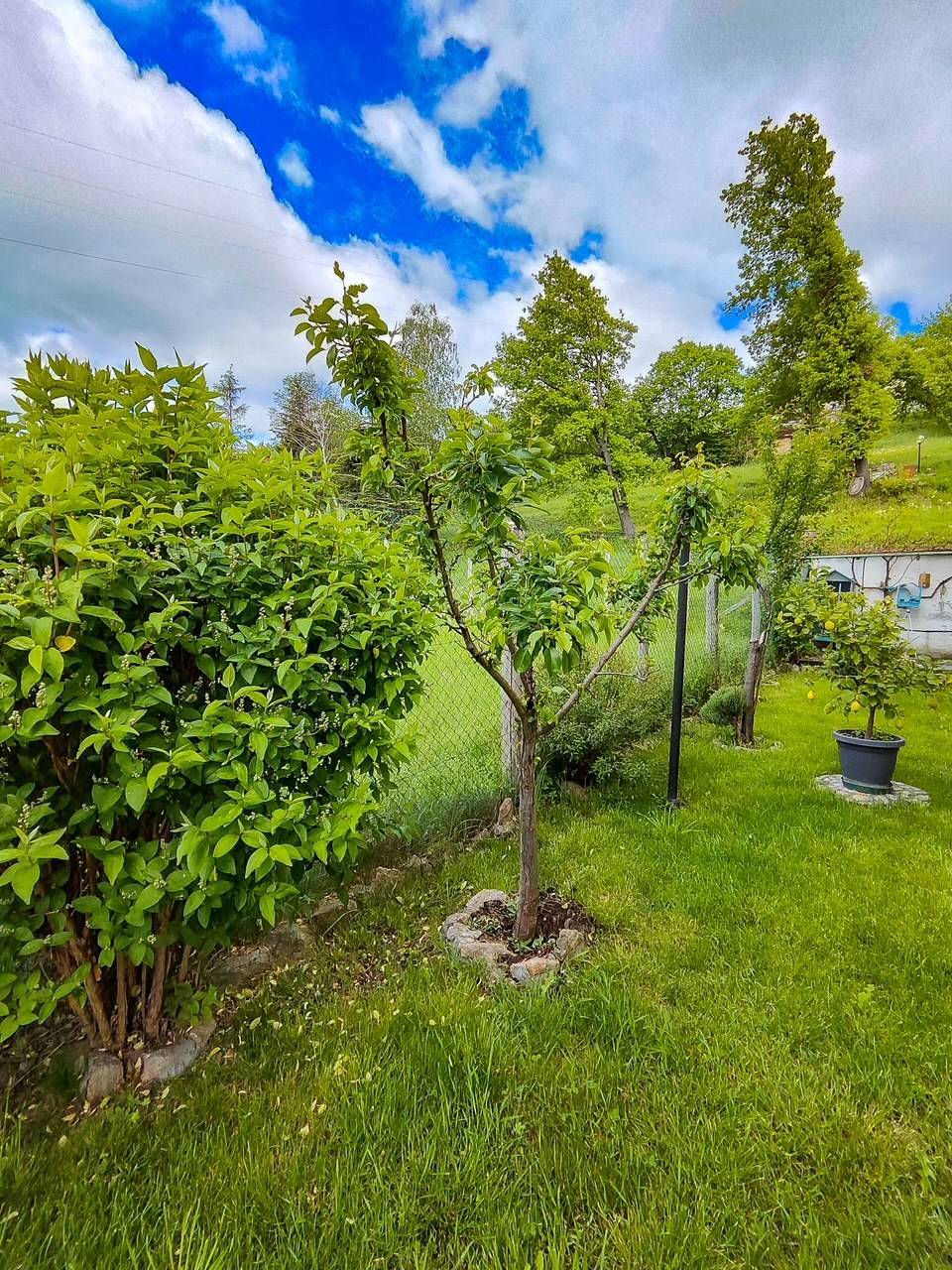 Villa bifamigliare in vendita a Cairo Montenotte, Bragno