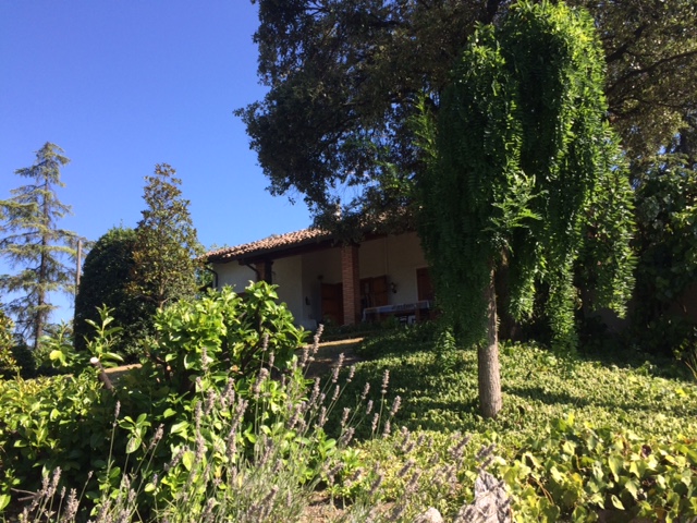 immagine annuncio 3 di 6