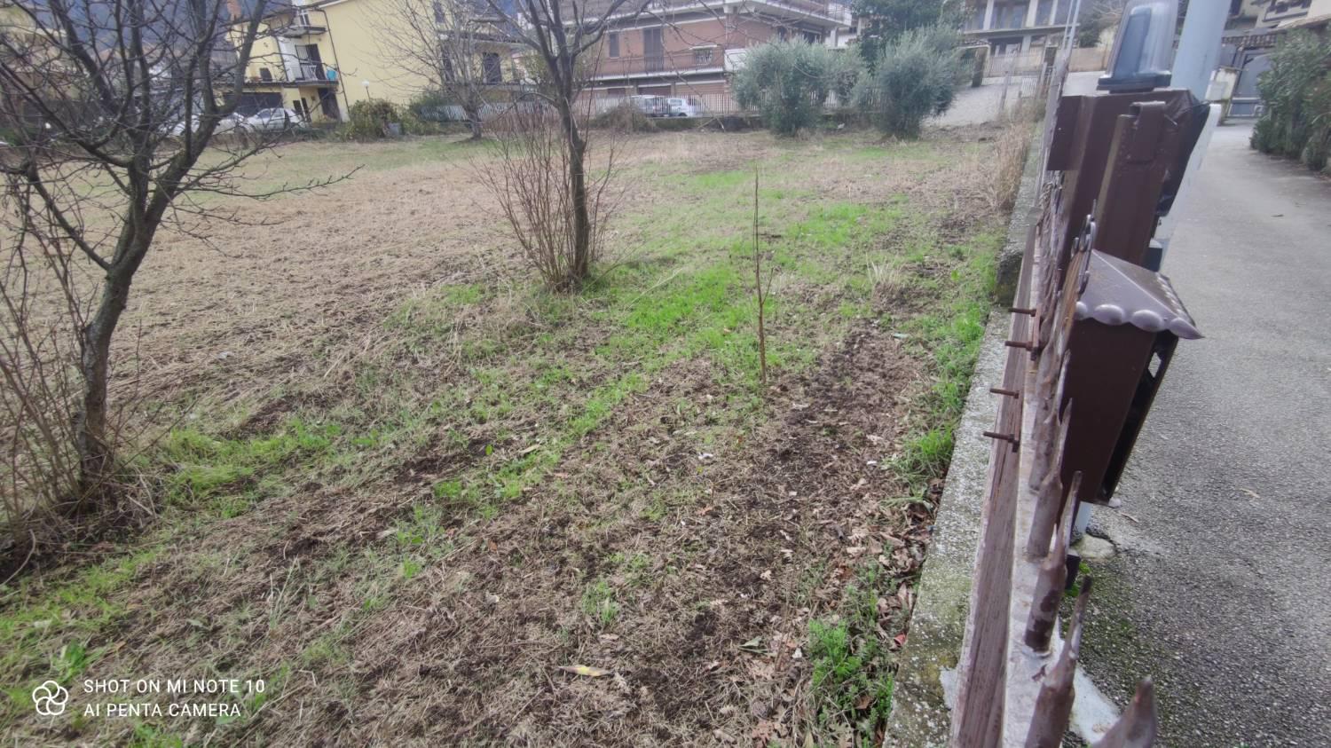 immagine annuncio 7 di 10