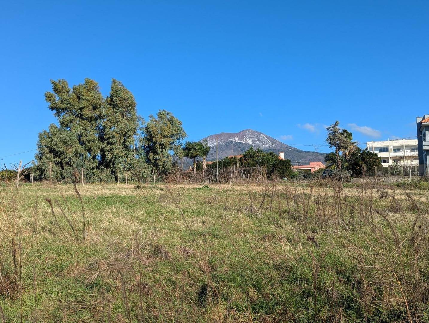 Terreno Agricolo in vendita a Torre Annunziata