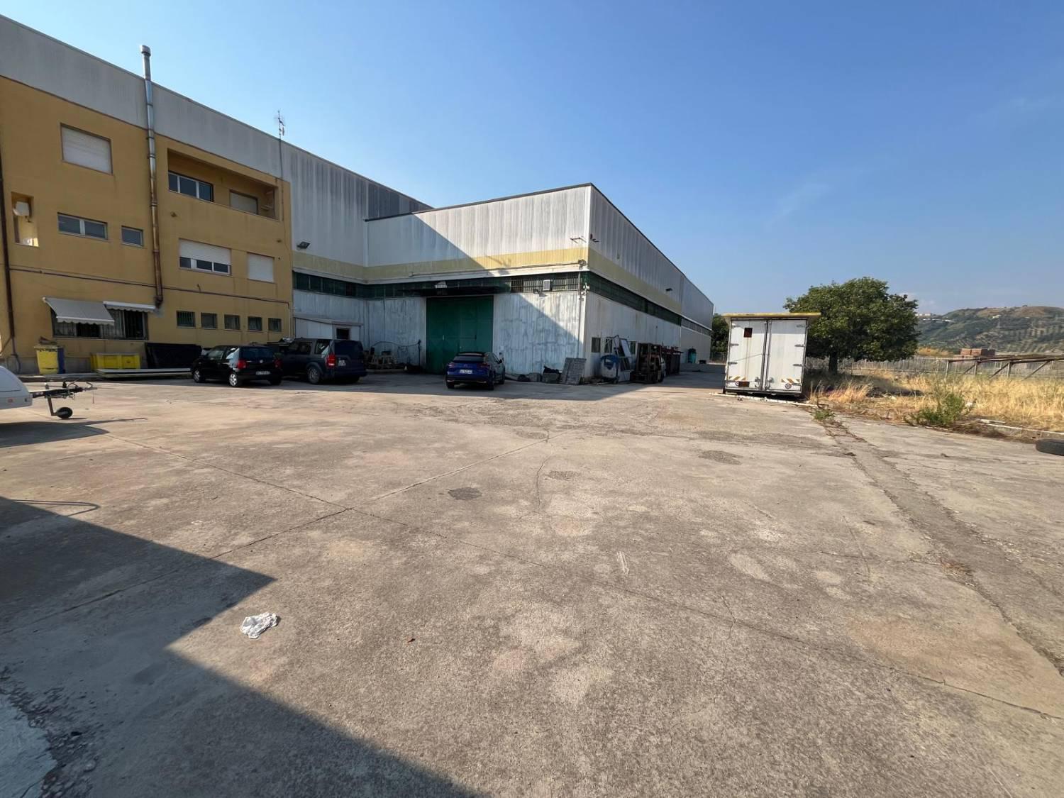 Attivit commerciale Bar e tabacchi in vendita a Catanzaro