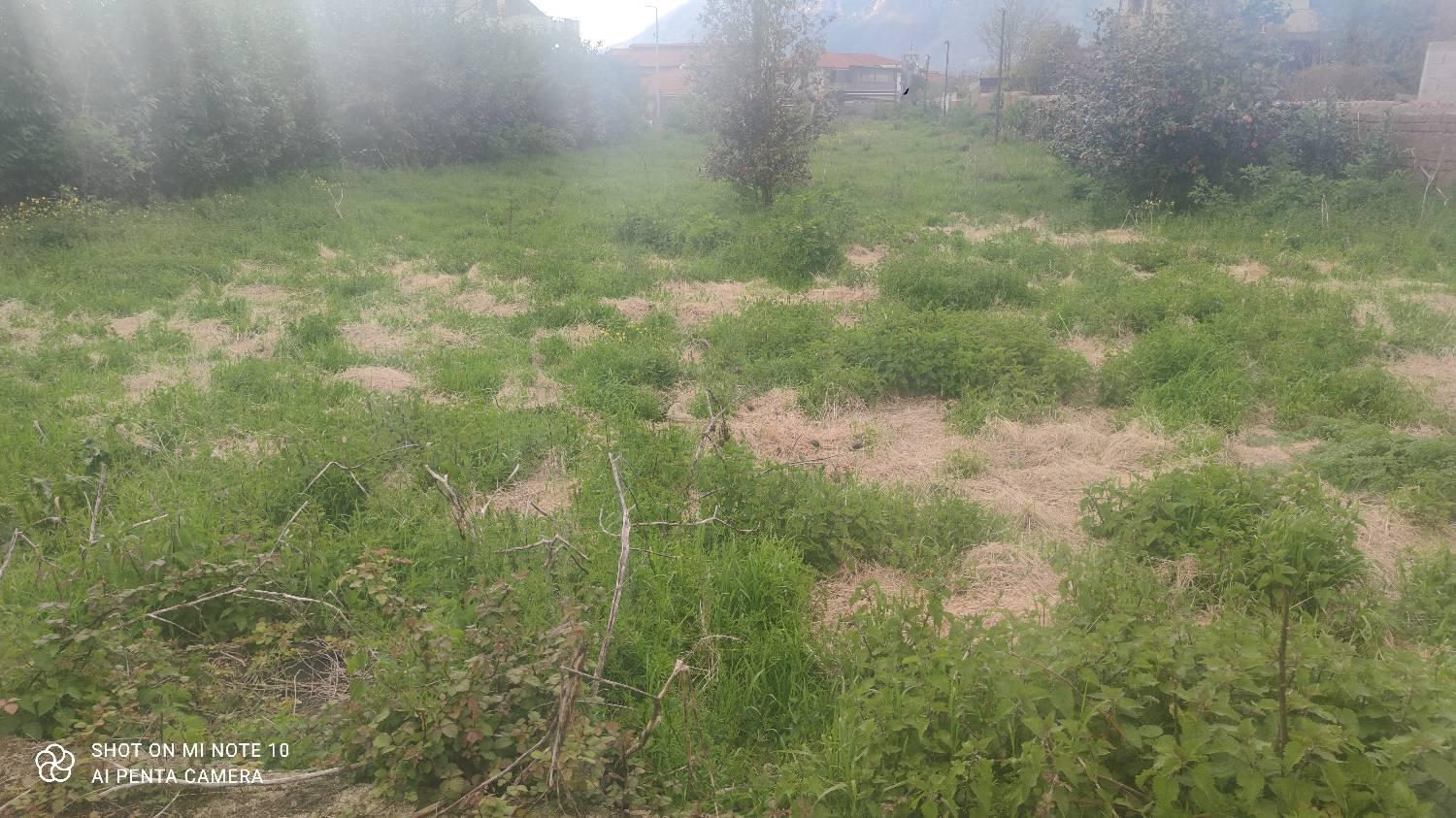 Terreno Edificabile in vendita a Cervinara