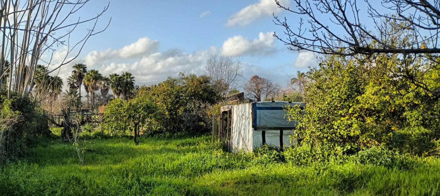 Terreno Agricolo in vendita a Aci Sant'Antonio