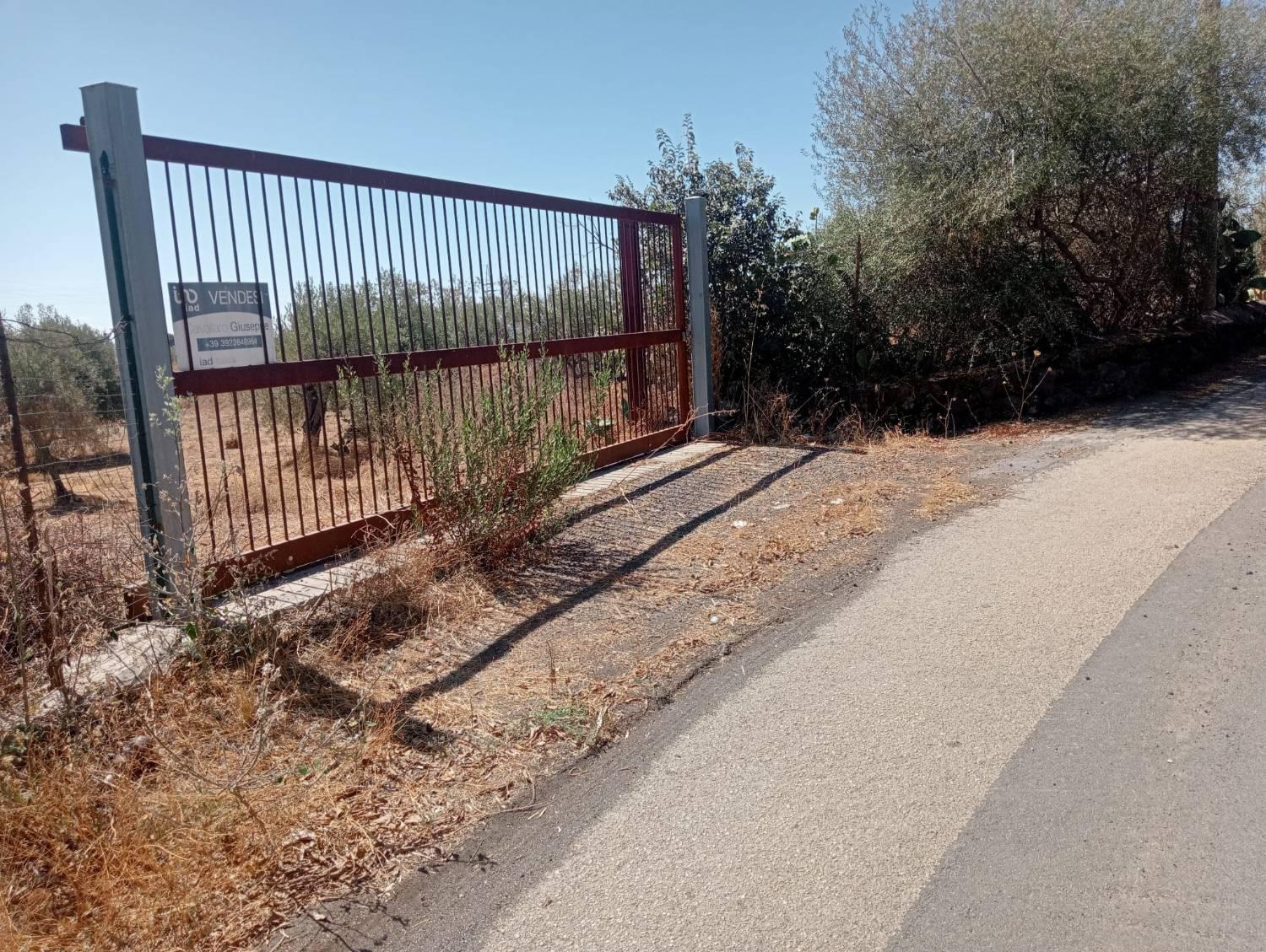 Terreno Agricolo in vendita a Belpasso