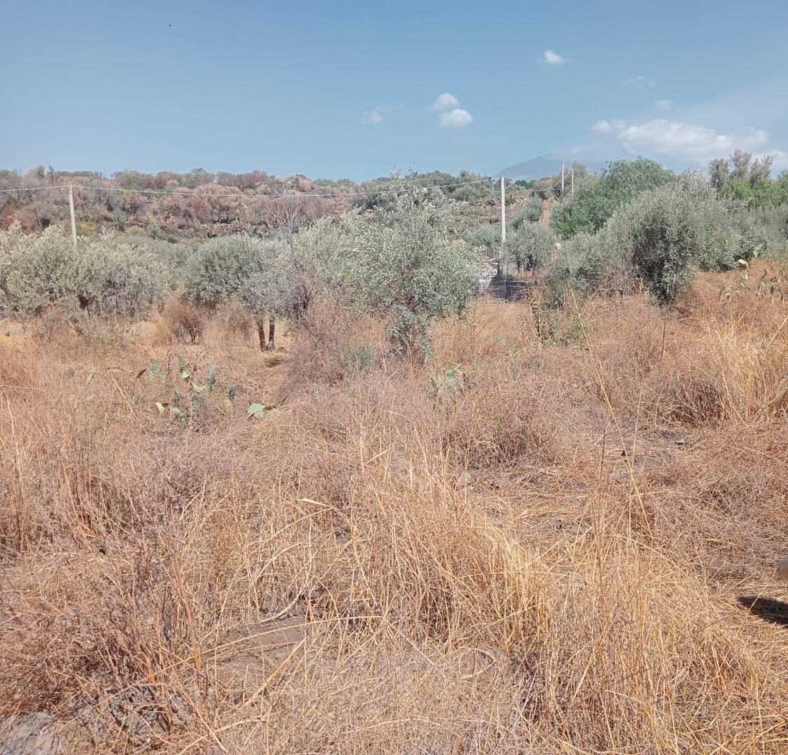 Terreno Agricolo in vendita a Belpasso