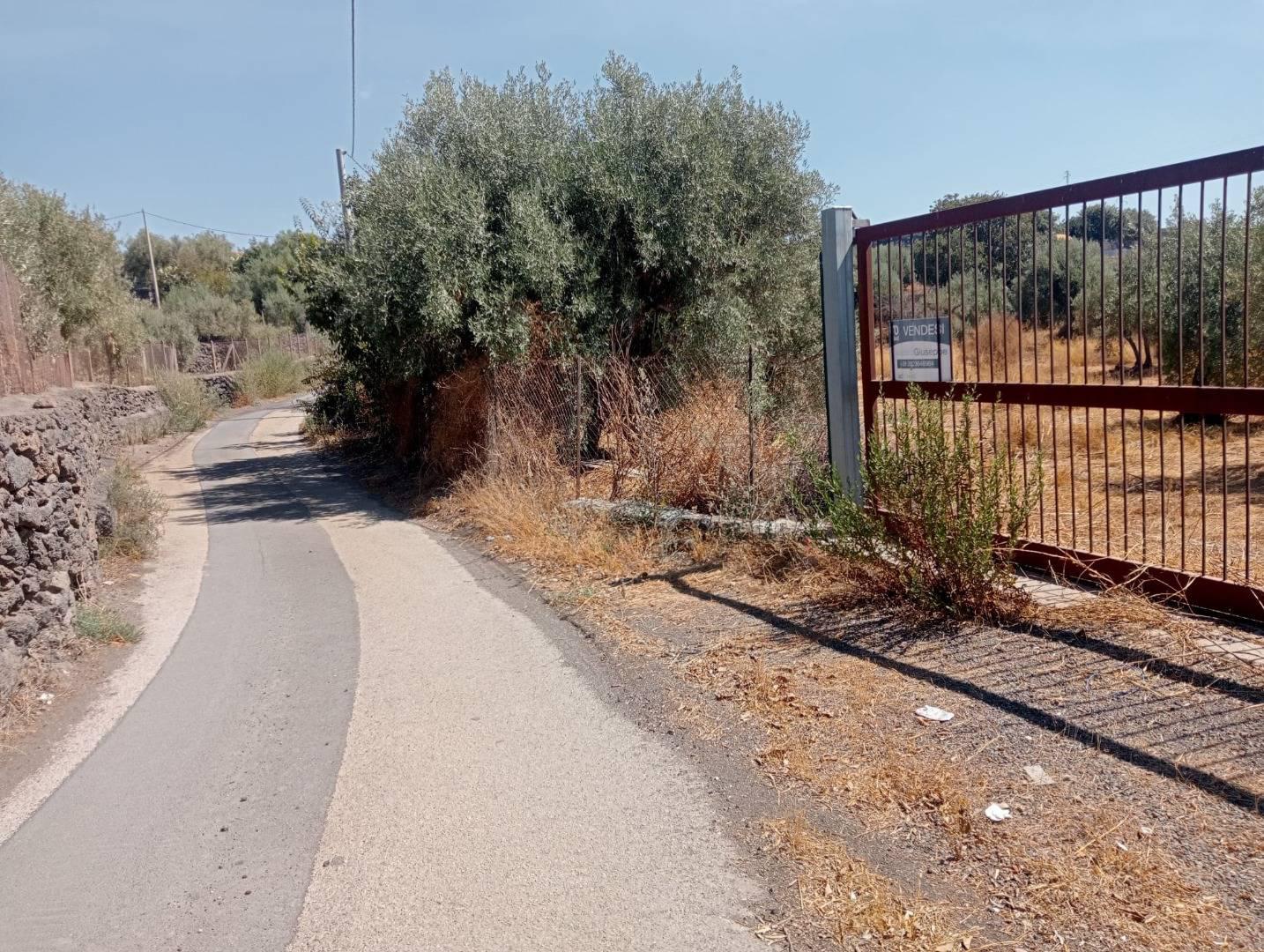 Terreno Agricolo in vendita a Belpasso