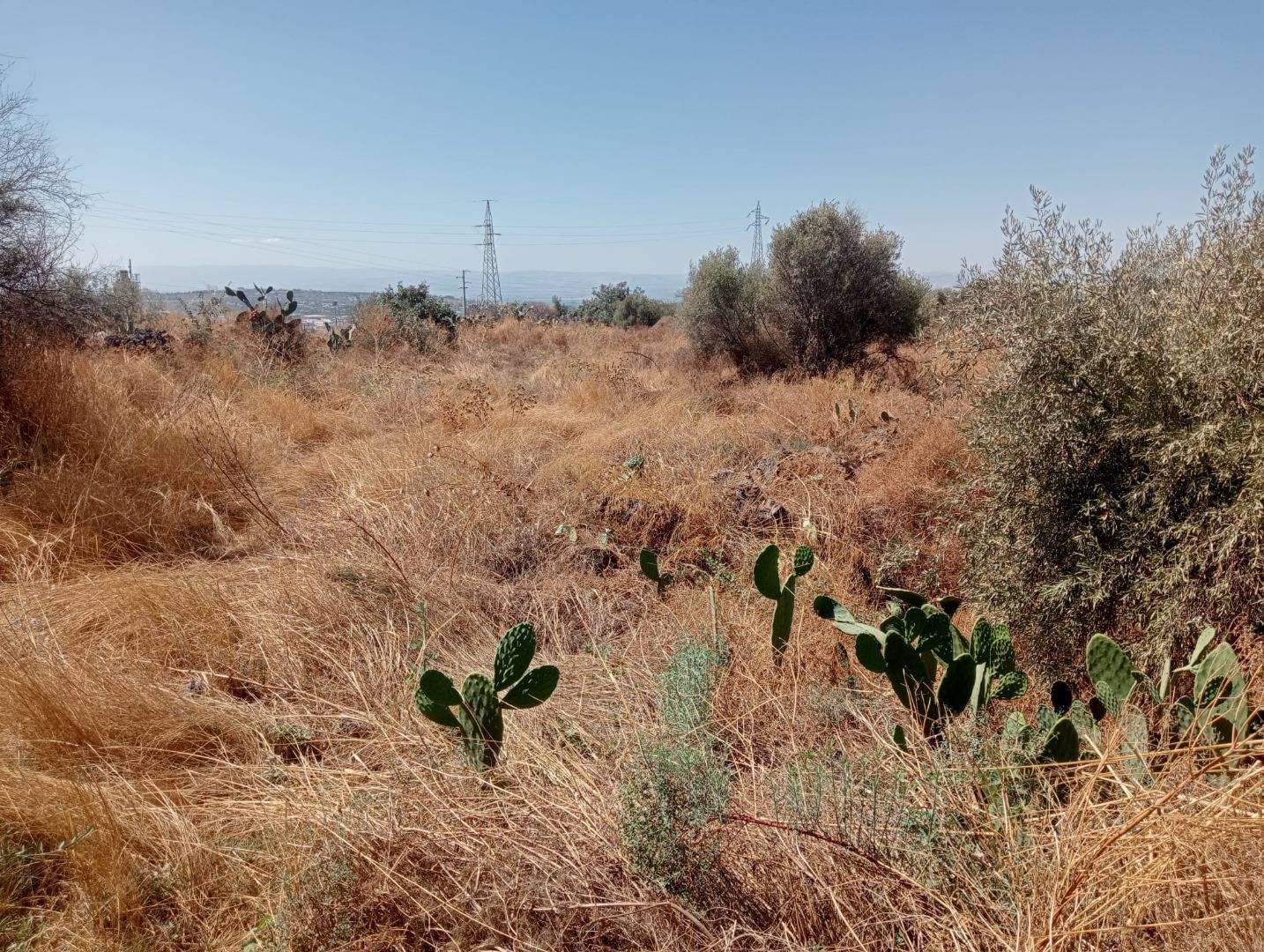 Terreno Agricolo in vendita a Belpasso