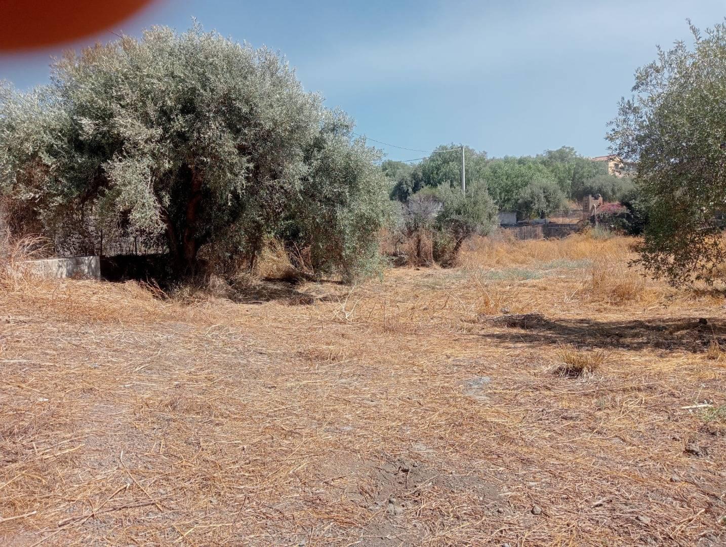 Terreno Agricolo in vendita a Belpasso