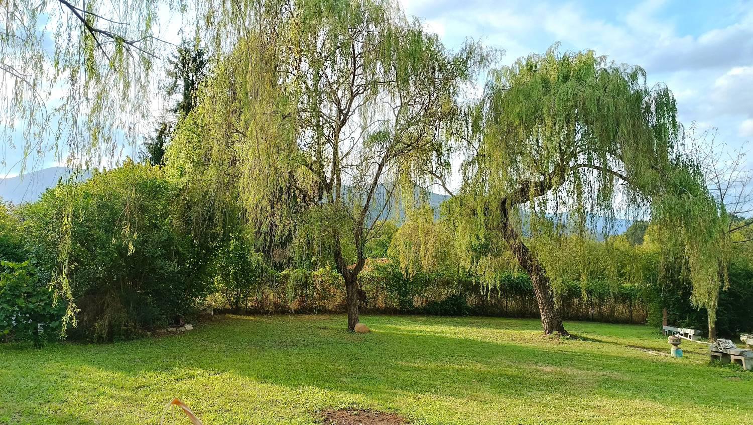 Terreno Agricolo in vendita a La Cassa