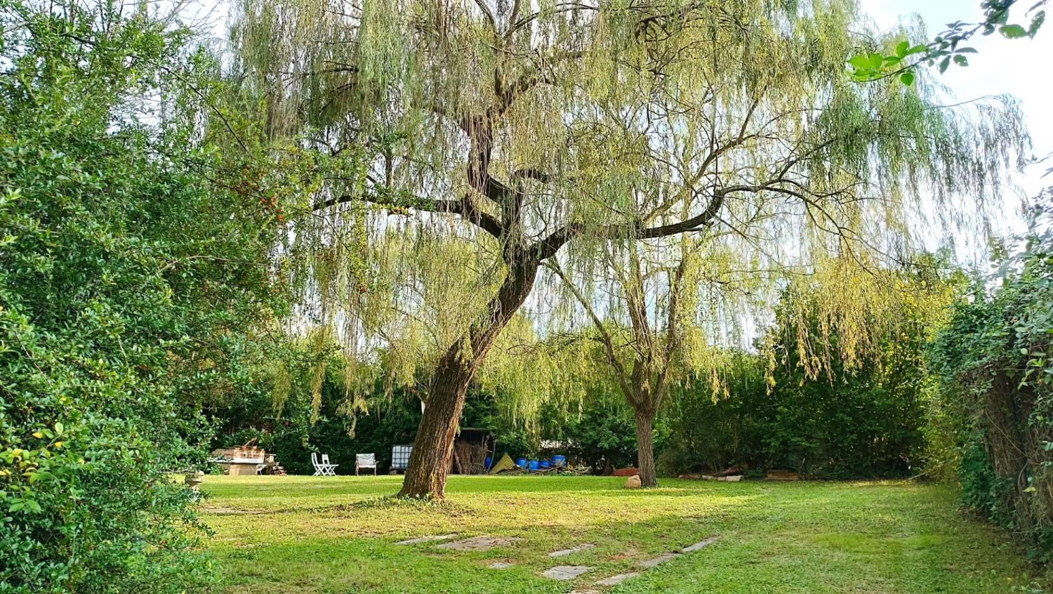Terreno Agricolo in vendita a La Cassa