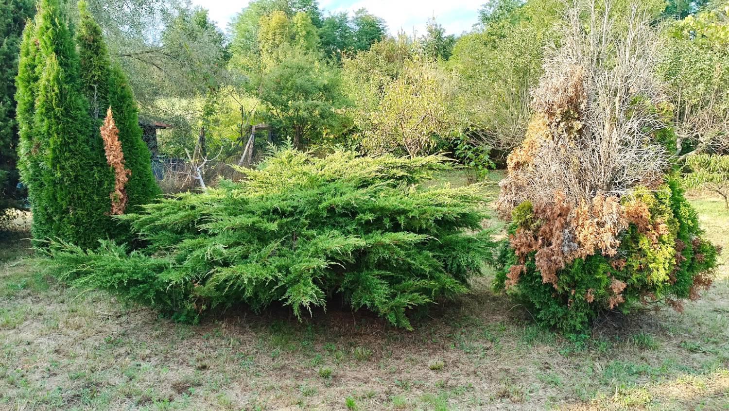 Terreno Agricolo in vendita a La Cassa