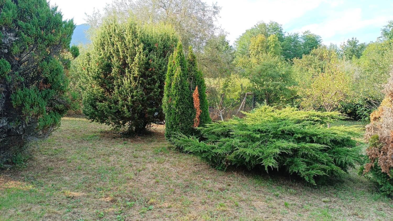 Terreno Agricolo in vendita a La Cassa