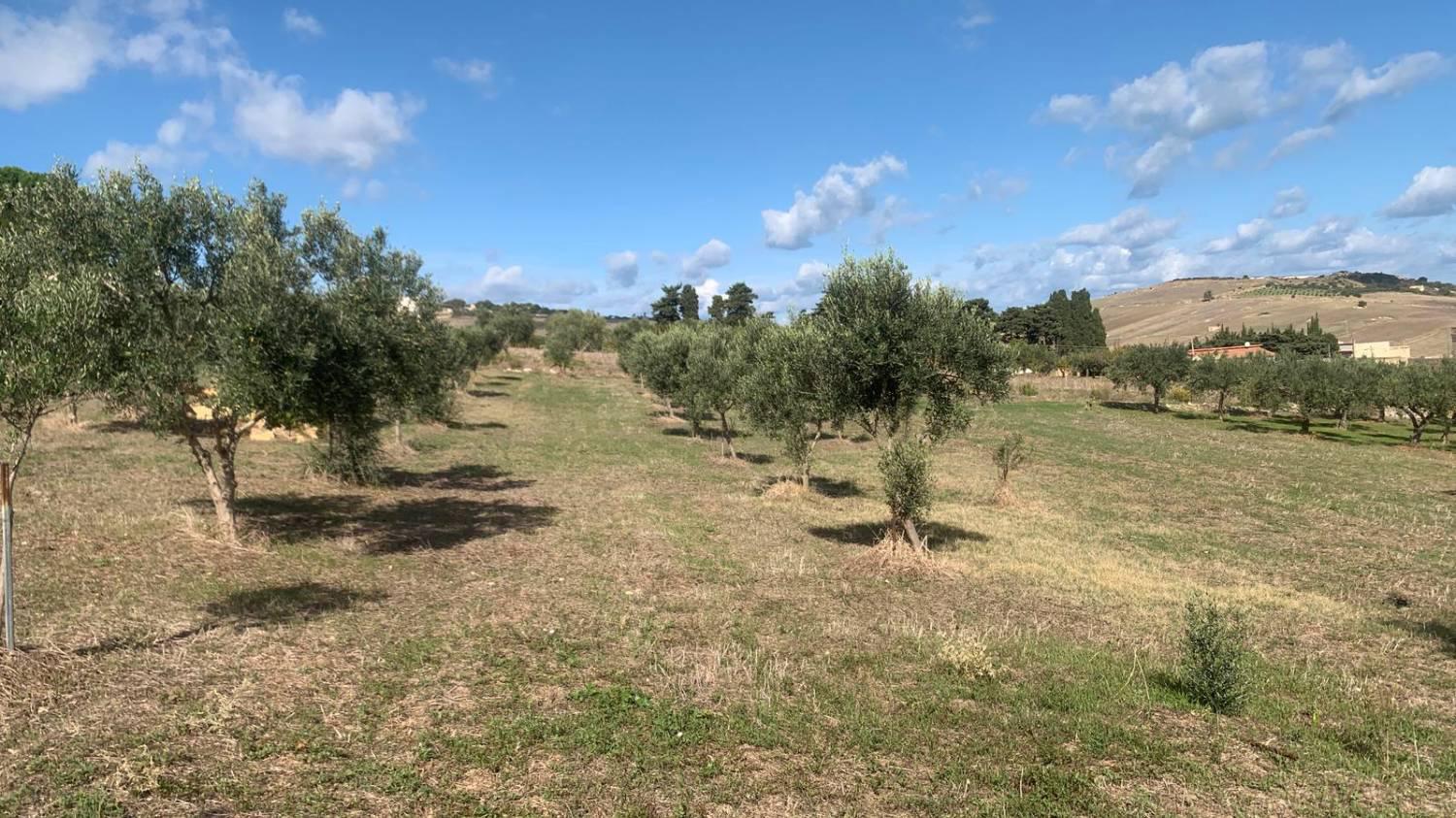 Casa indipendente con giardino a Valderice