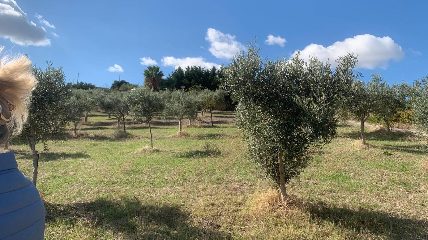 Casa indipendente con giardino a Valderice