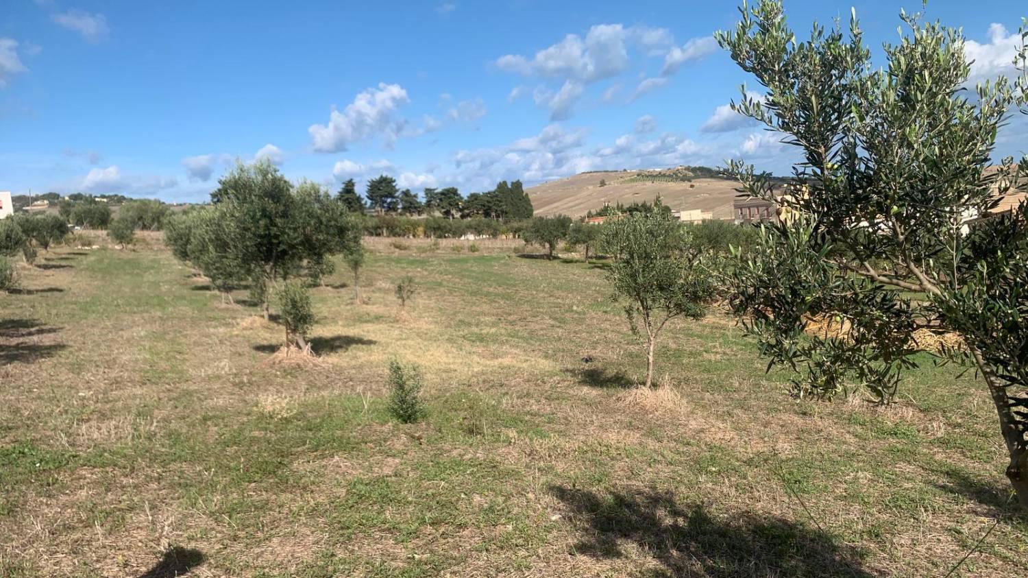 Casa indipendente con giardino a Valderice