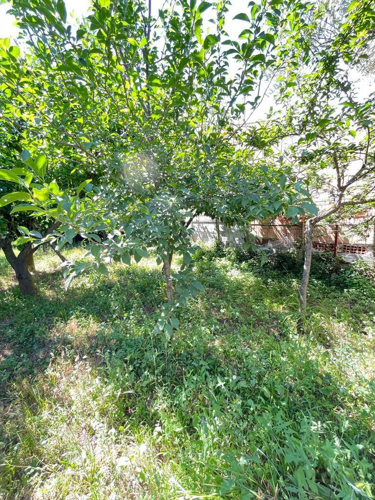 Casa indipendente da ristrutturare a Lamezia Terme