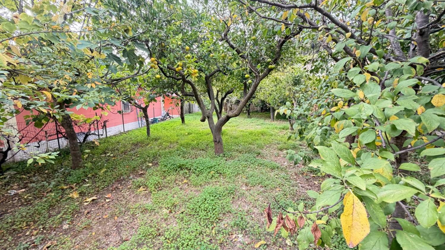 Casa indipendente da ristrutturare a Lamezia Terme