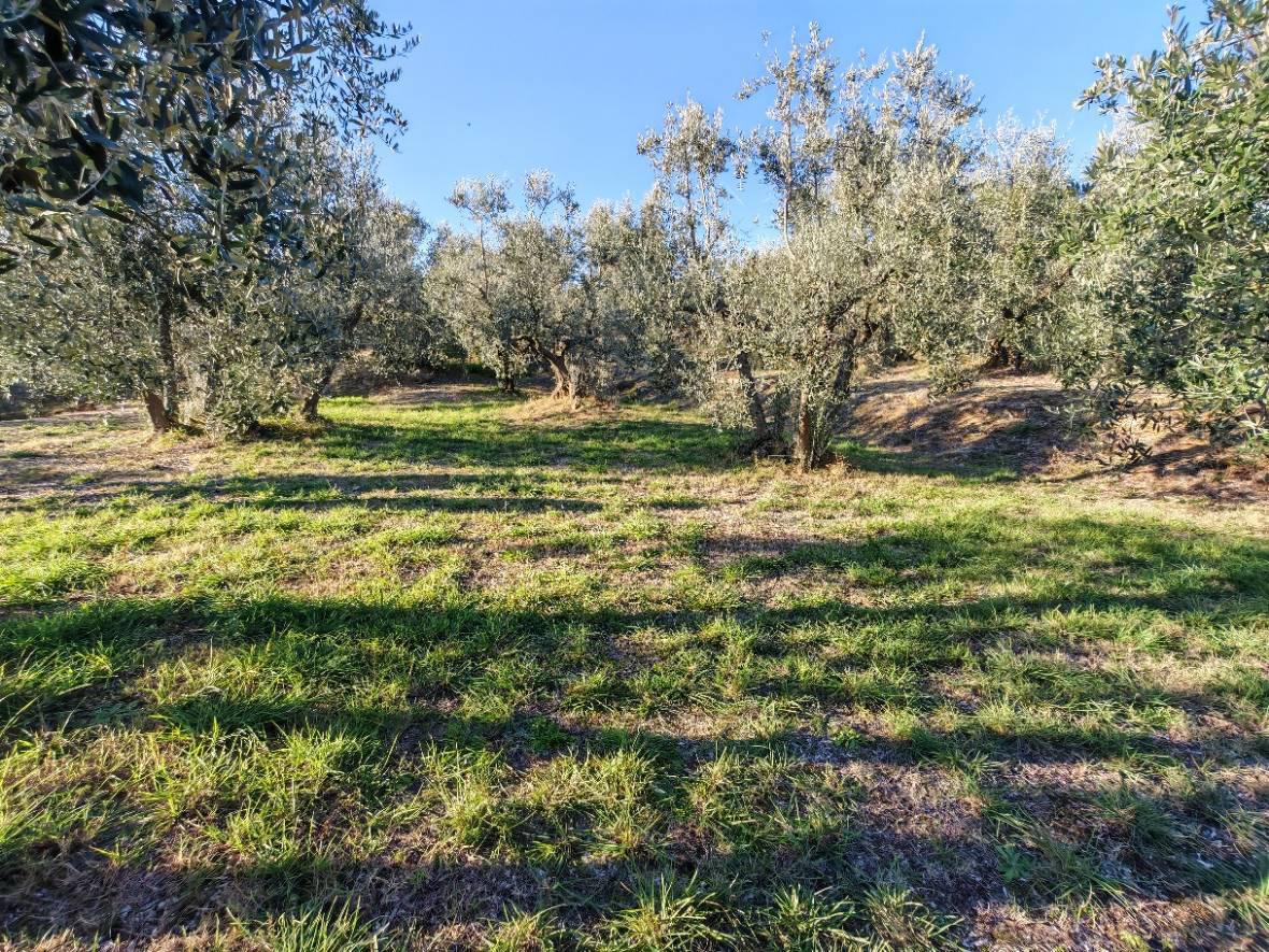 Terreno Edificabile classe A4 a Lucignano