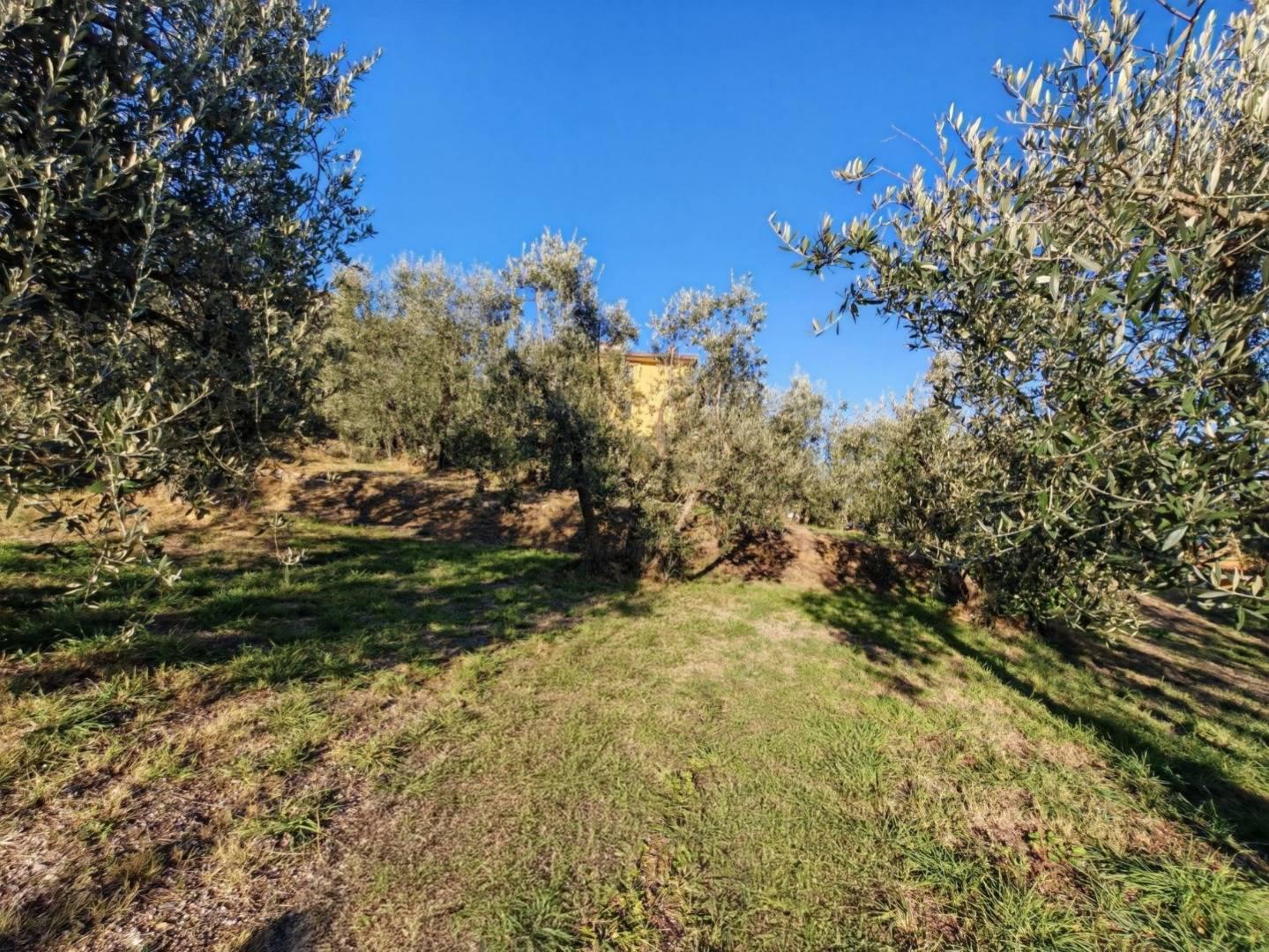 Terreno Edificabile classe A4 a Lucignano