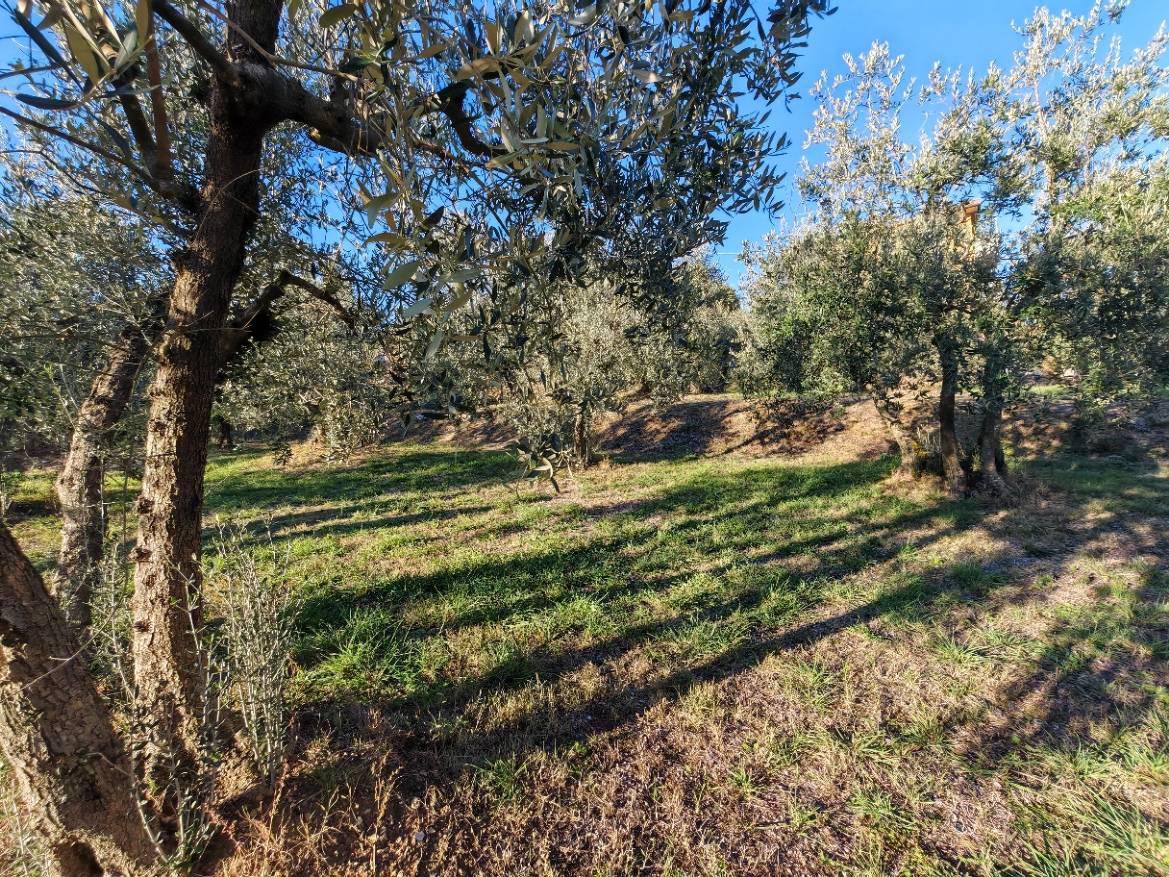 Terreno Edificabile classe A4 a Lucignano
