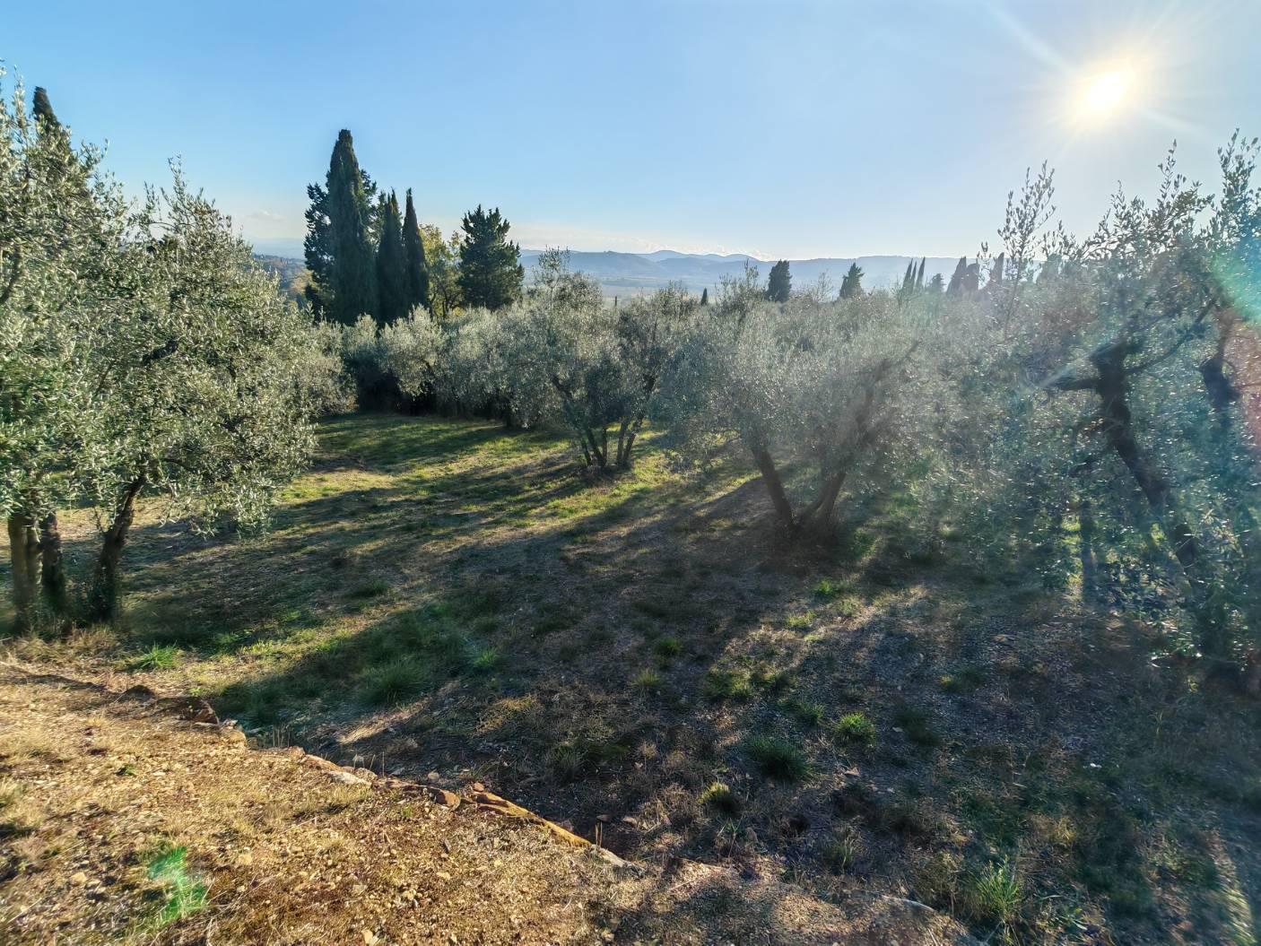 Terreno Edificabile classe A4 a Lucignano